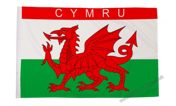 Cymru Flag (Sleeved) CLEARANCE (50% off)